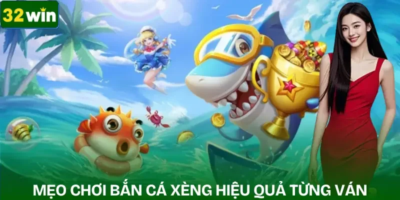 ban-ca-xeng-meo-choi