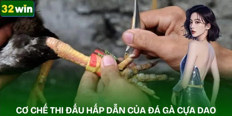 da-ga-cua-dao-co-che-thi