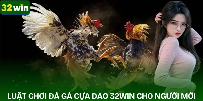 da-ga-cua-dao-luat-choi