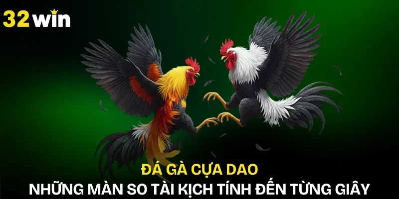da-ga-cua-dao