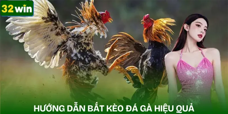 keo-cuoc-da-ga-huong-dan-choi