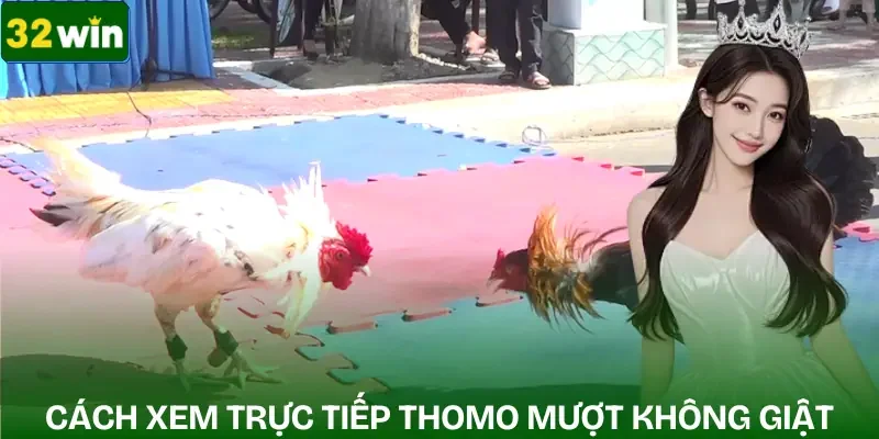 truc-tiep-da-ga-thomo-cach-xem