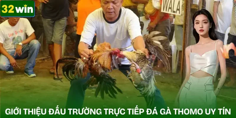 truc-tiep-da-ga-thomo-gioi-thieu