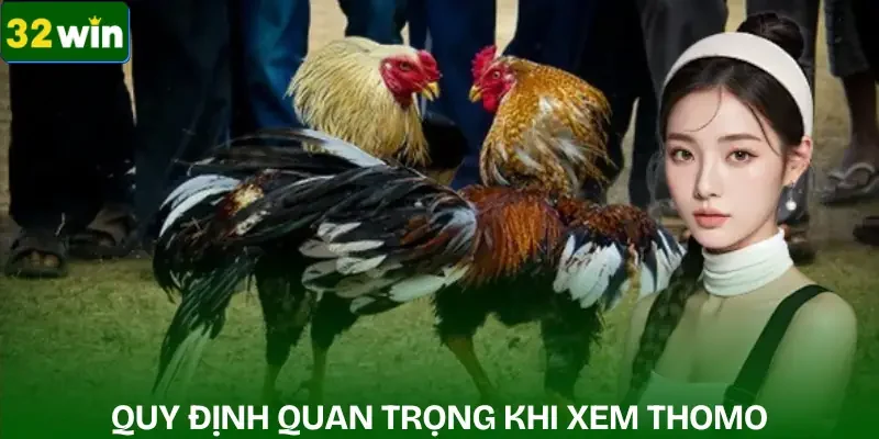 truc-tiep-da-ga-thomo-quy-dinh