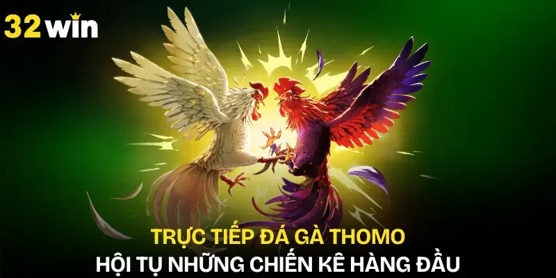 truc-tiep-da-ga-thomo